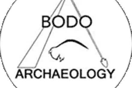 Bodo Logo tipi and bison